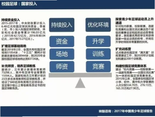 中国足球改革方案的关键在于青训体系与职业联赛的协同发展